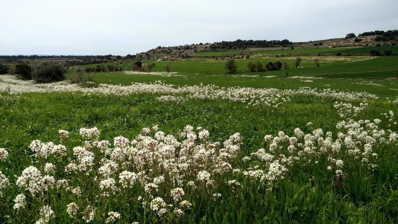 فندق Ca La Bet Claravalls المظهر الخارجي الصورة
